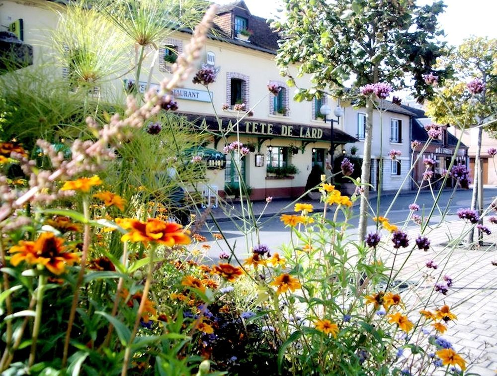 Logis Auberge A La Tete De Lard La Ferte-Imbault Luaran gambar